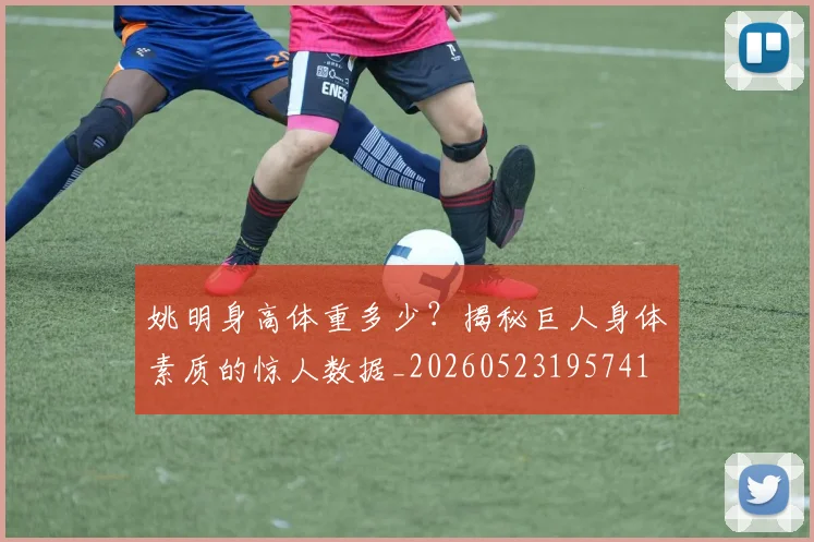 姚明身高体重多少？揭秘巨人身体素质的惊人数据_20260523195741