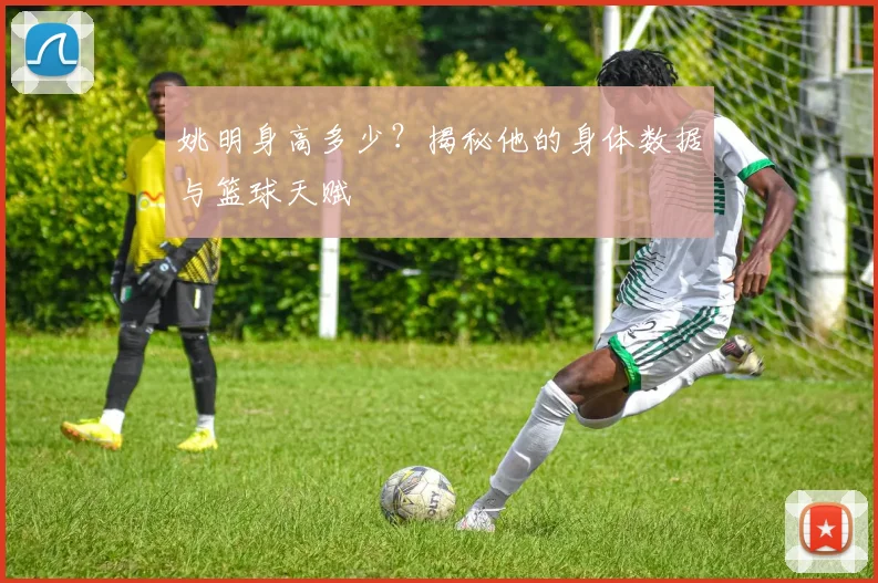 姚明身高多少？揭秘他的身体数据与篮球天赋