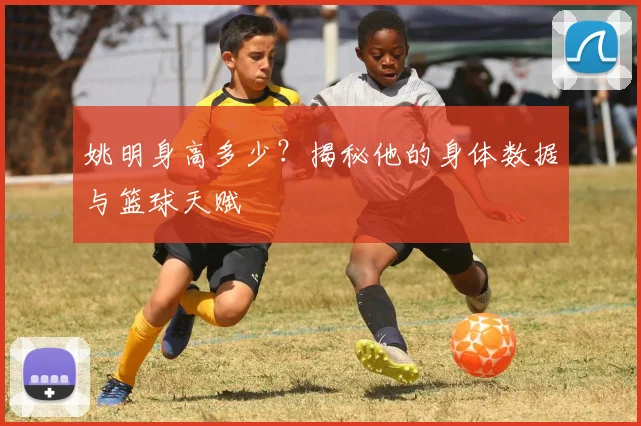 姚明身高多少？揭秘他的身体数据与篮球天赋
